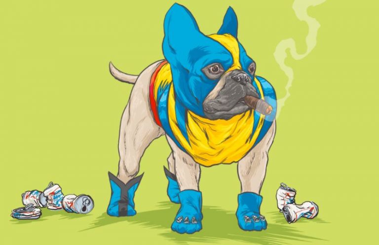 perro_superheroe_elzocco