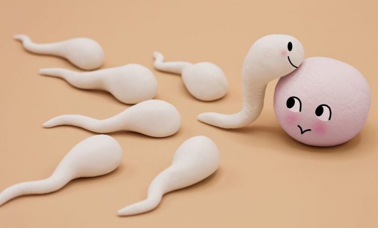 esperma lucha cancer