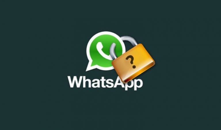 seguridad whatsapp elzocco