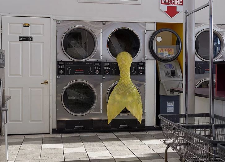 colas de sirena de colorines