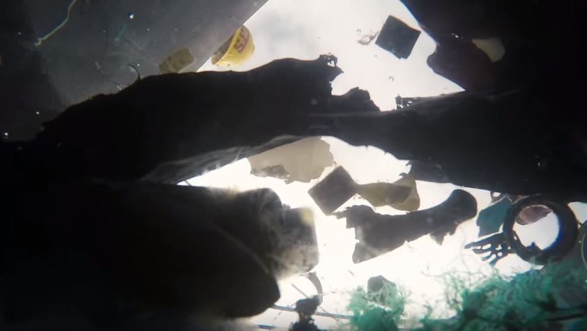 limpieza del Océano Pacífico