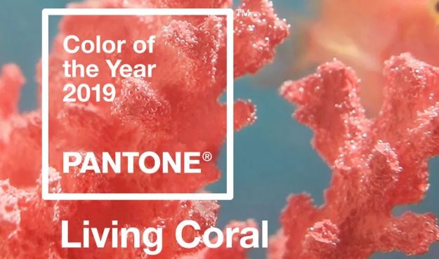 color Pantone para 2019