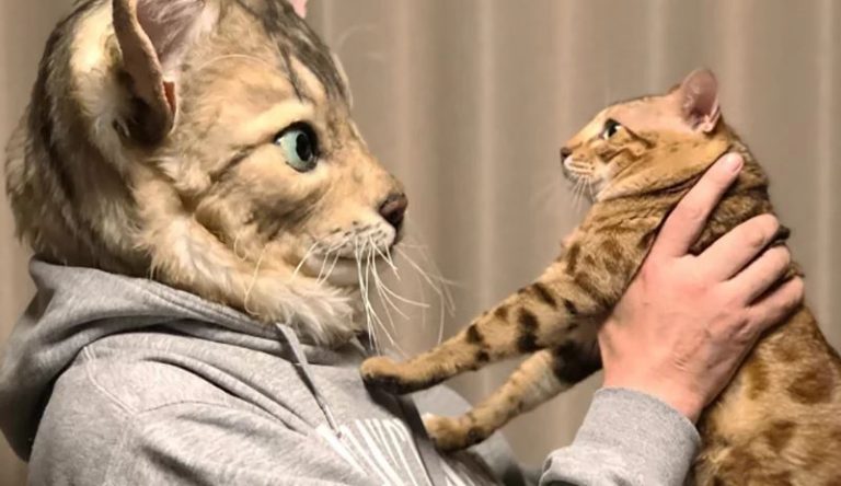 convertirte en tu gato