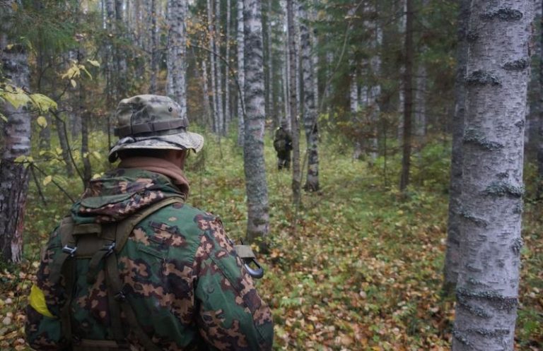 Battle Royale en una isla