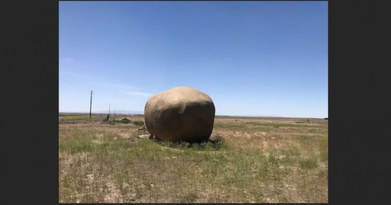 dormir en una patata