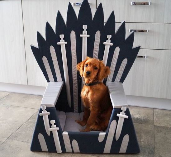 mascotas de Juego de Tronos