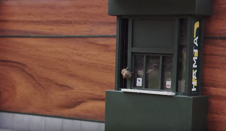 McDonald's más pequeño