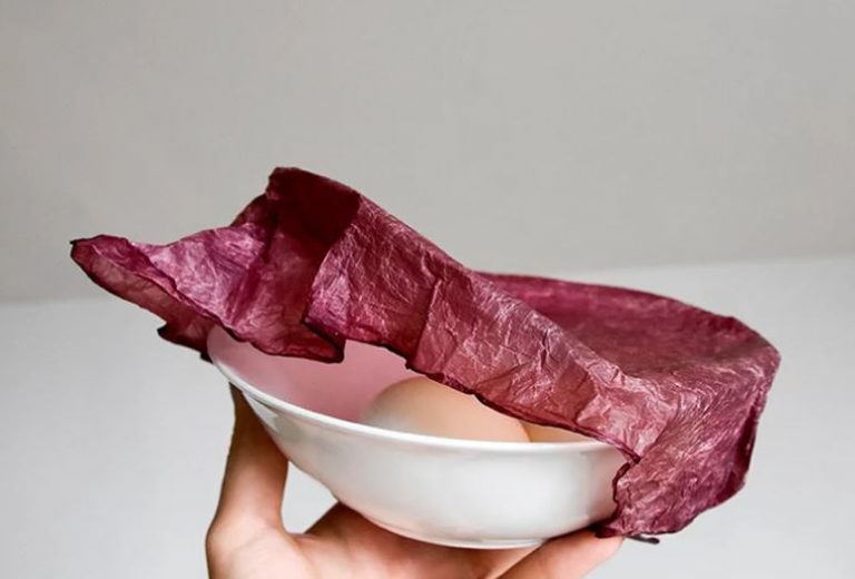 envases SCOBY