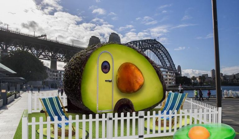 día del aguacate
