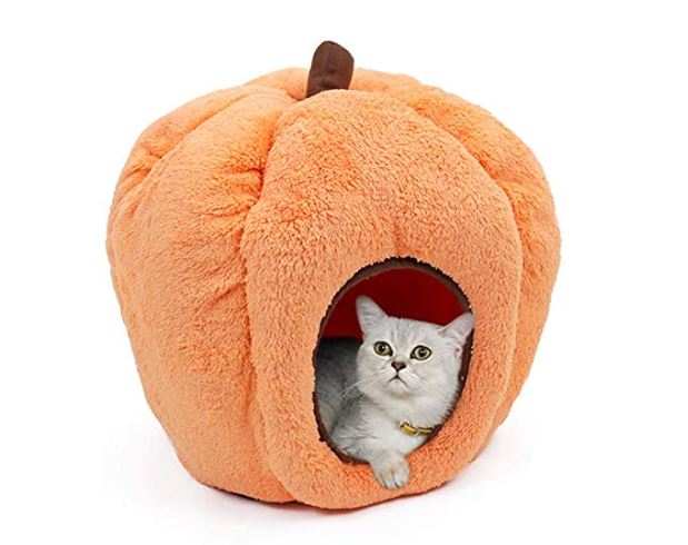 casa para gatos de Halloween