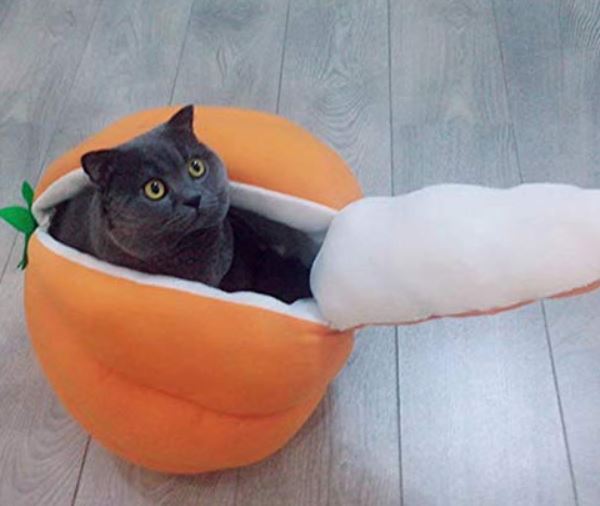 casa para gatos de Halloween