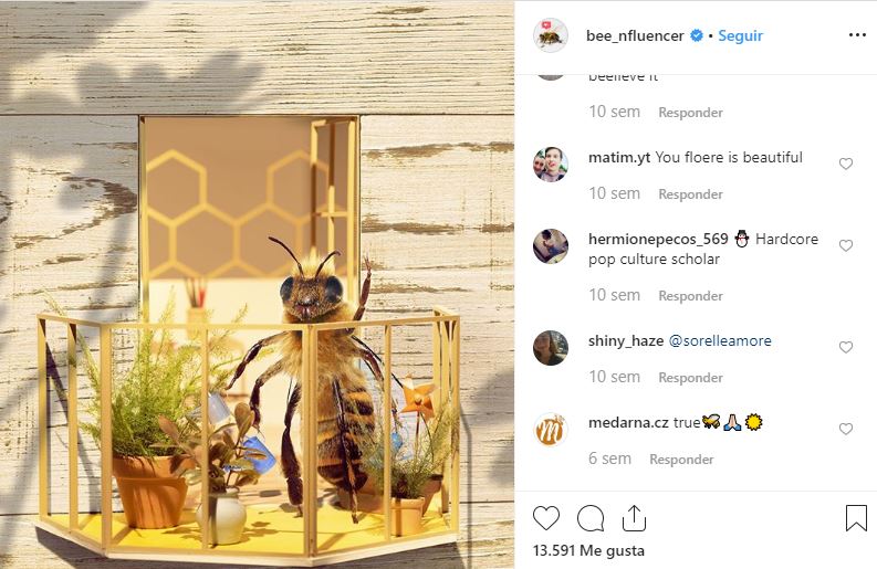 abeja influencer