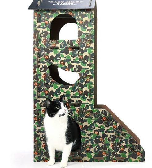 accesorios de camuflaje para mascotas