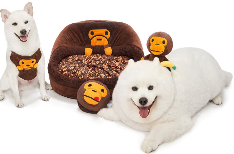 accesorios de camuflaje para mascotas