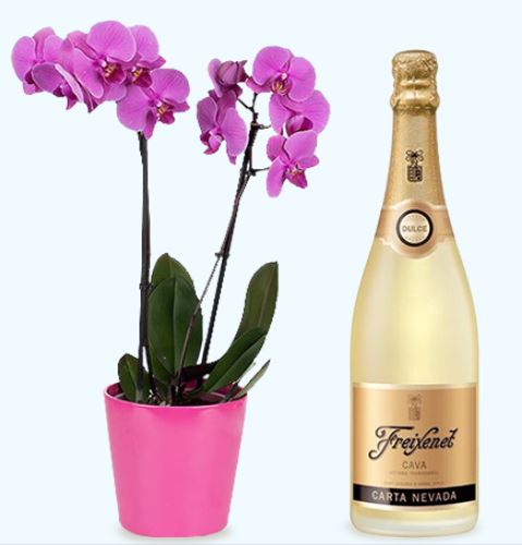 como regalar flores