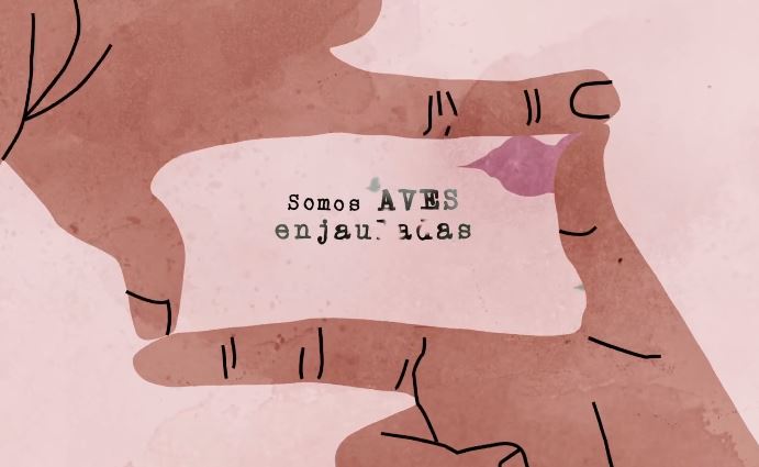 aves enjauladas de rozalen