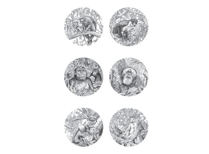 extinción de primates