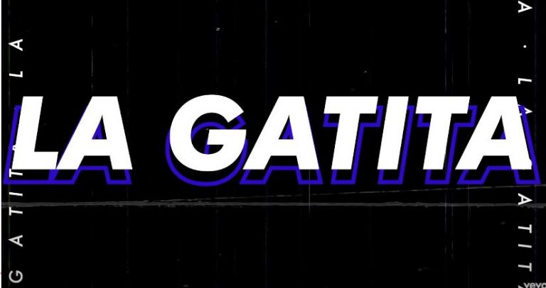 la gatita remix
