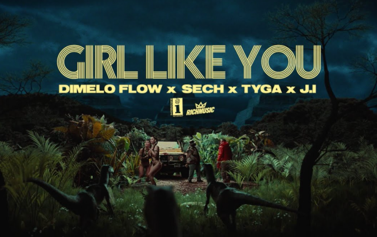 girl like you de dimelo flow