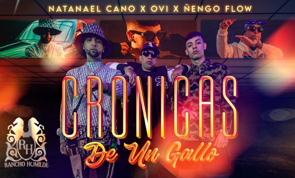 cronicas de un gallo de natanael cano