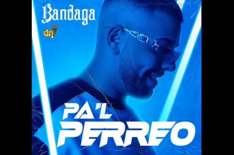 pal perreo de bandaga