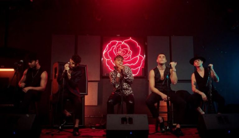 solo importas tú de cnco