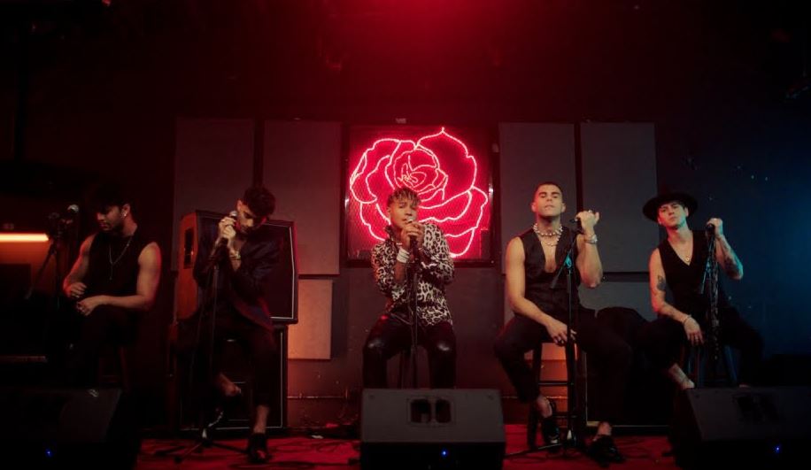 solo importas tú de cnco