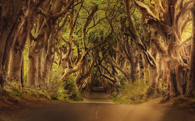 viajar a Irlanda del Norte