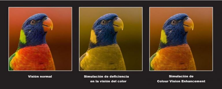 personas con deficiencias en la visión del color