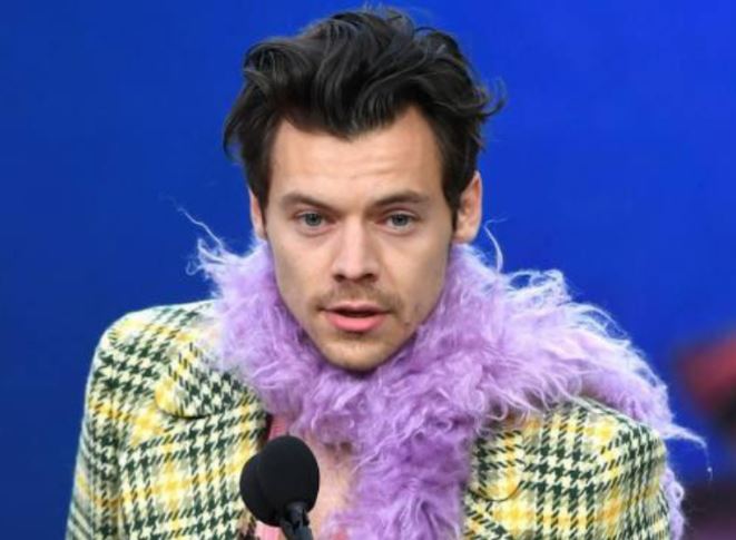 moda sin género boa Harry Styles