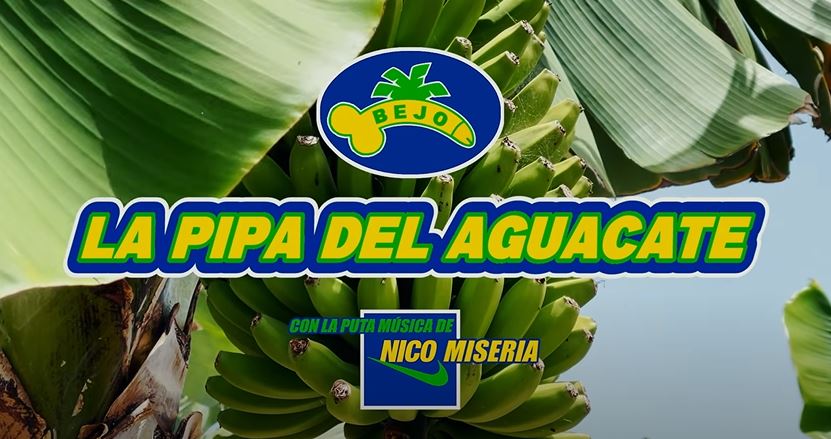 La Pipa del Aguacate de Bejo