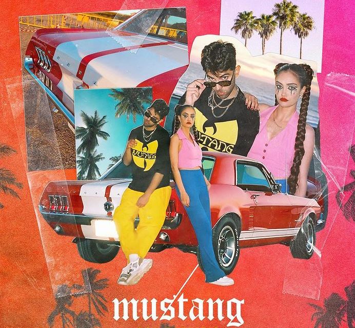 mustang de don patricio