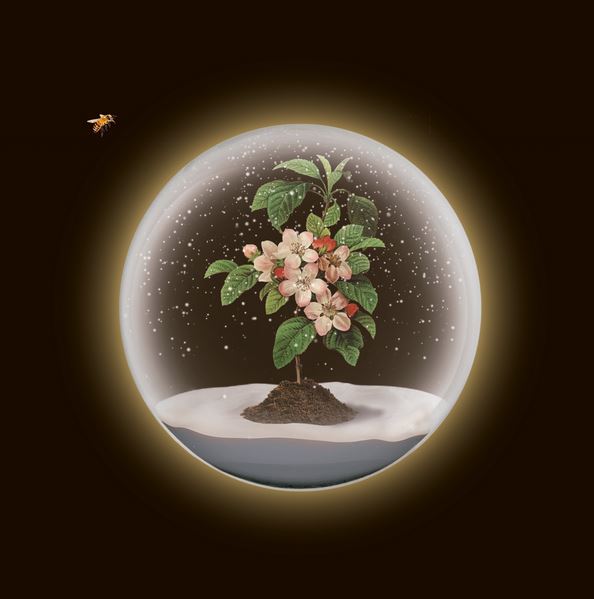 La flor de la manzana de Nacho Vega