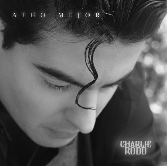 algo mejor de chalie rodd