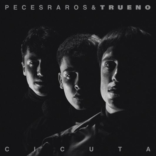 cicuta remix de peces raros
