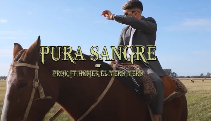 pura sangre de prok