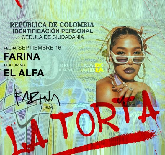 la torta de farina