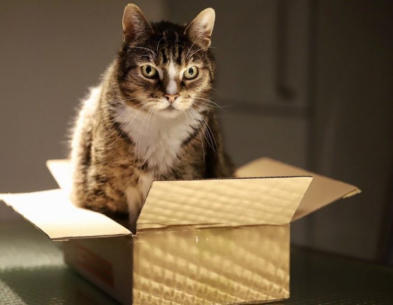 usos para cajas de cartón