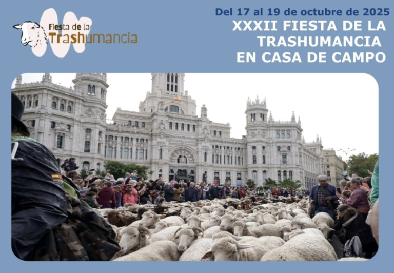 fiesta de la trashumancia 2025