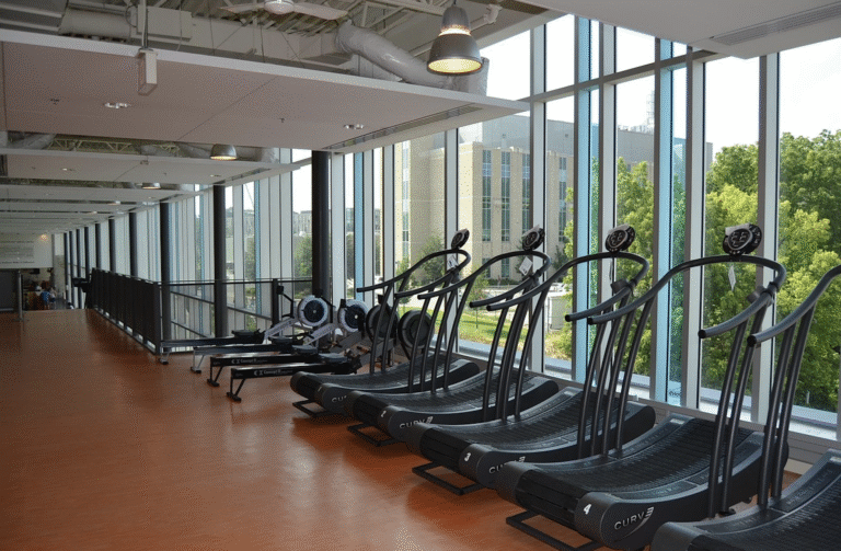 recopilaciones de propósitos