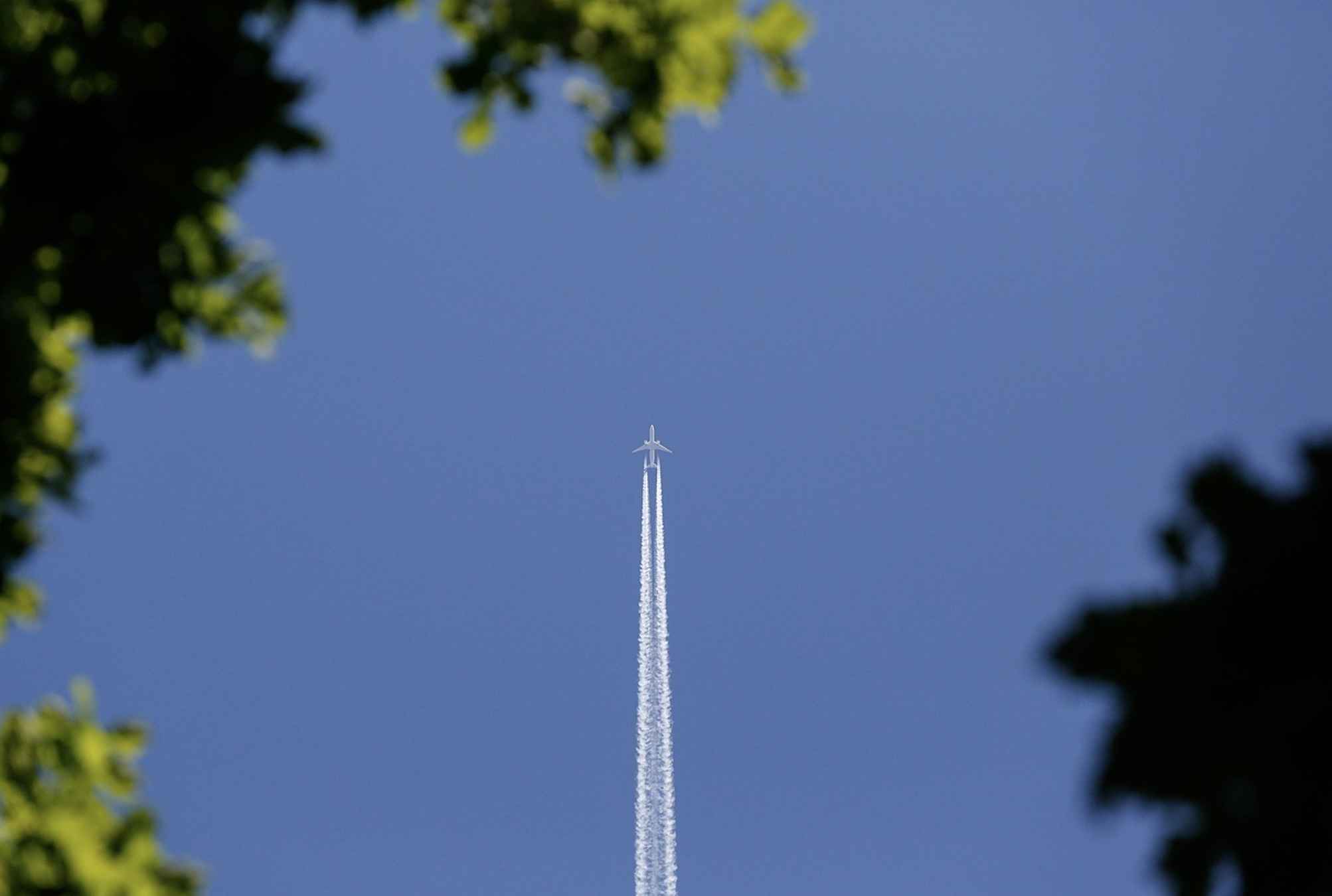 viajeros más madrugadores